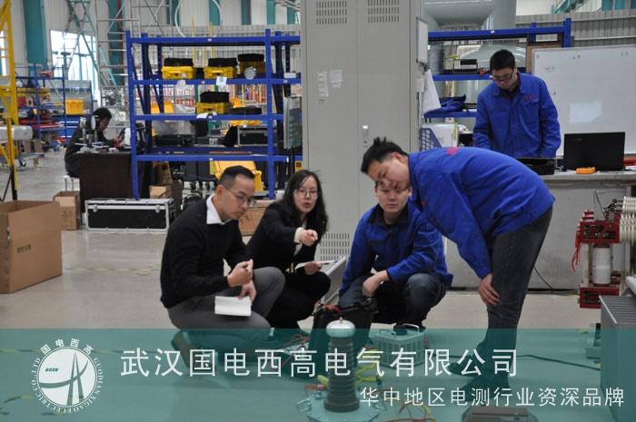 國電西高迎來菲律賓客戶來訪驗貨