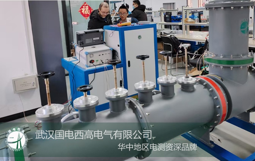 直擊現(xiàn)場(chǎng) |國(guó)電西高完成GIS局放模擬裝置聯(lián)調(diào)及專業(yè)實(shí)操培訓(xùn)