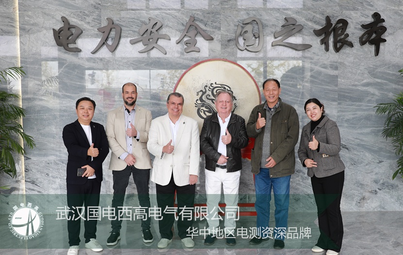 以實(shí)力為基，以誠(chéng)意為橋：國(guó)電西高喜迎國(guó)際核心客戶深度探訪